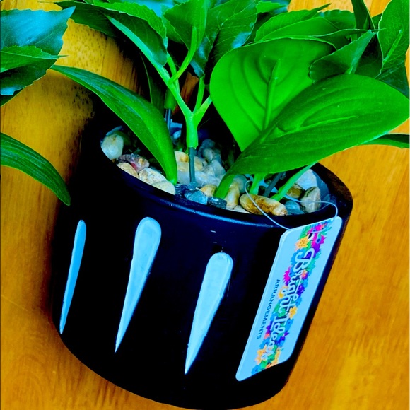 Green Green ONE beautiful 🪴 - Picture 3 of 12